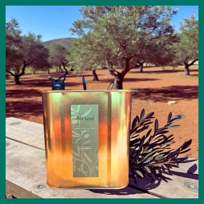 2,5l Kanister Bio Olivenöl Au Verd vor Olivenhain